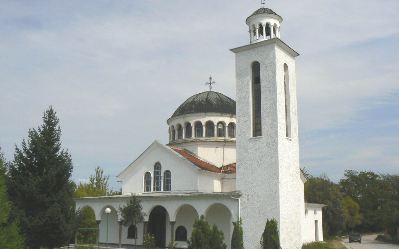 Изглед от Долни Дъбник